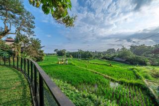 Sola Villa Ubud - Ubud - 2