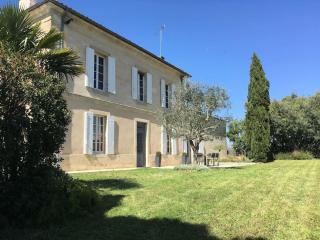 Maison Girondine au milieu des vignes du Château d Yquem avec belle vue - Preignac - 9