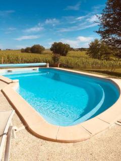 Maison Girondine au milieu des vignes du Château d Yquem avec belle vue - Preignac - 4