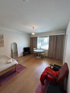 Studio apartment near the center - 5