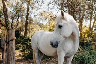 Hôtel Domaine de Biar - 6