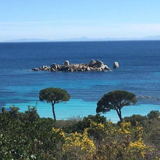 Villa Standing Palombaggia 10 personnes vue mer, piscine - Porto-Vecchio - 3