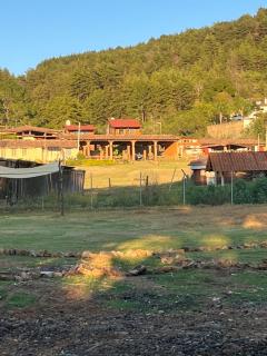 Camping en granja los nogales - 1