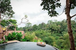 Pondok Dedari villa - Penginyahan - 0
