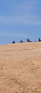 Résidence Fanti - 7