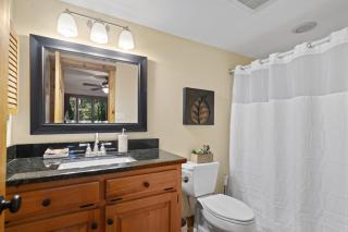NEW LISTING Sconti Ridge Hideaway in Big Canoe - Holcomb - 7