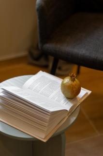 Villa Kotor Cradle - Kotor - 8