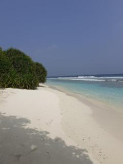 Bon Abri Maldives - Manadhoo - 5