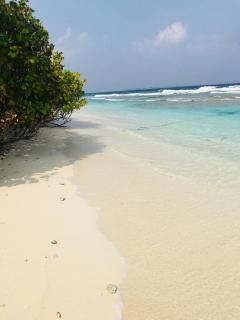 Bon Abri Maldives - 5