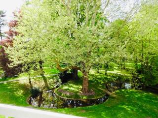 Un écrin de verdure aux portes de Paris - Bry-sur-Marne - 5