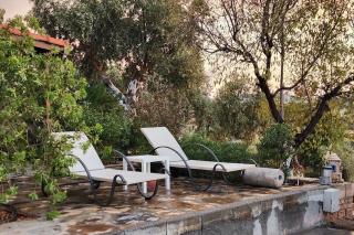 Villa Eleia Bodrum - Olive Garden & Stone House - Bodrum - 9