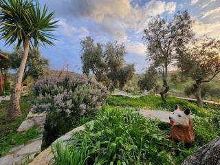 Villa Eleia Bodrum - Olive Garden & Stone House - Bodrum - 5