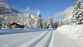 Der Brandstetterhof - Adults only - 6