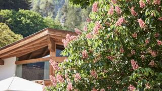 Der Brandstetterhof - Adults only - Stans - 8