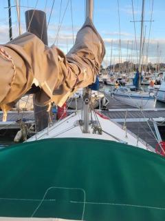 Bateau Jeanneau fantasia 8m à louer - La Rochelle - 3