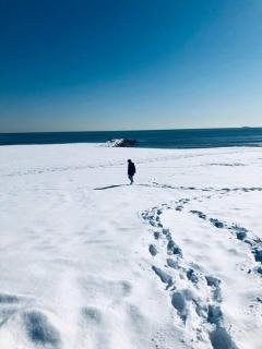 Private BR,BA,KIT, LR 9 Mins to Beach - 7