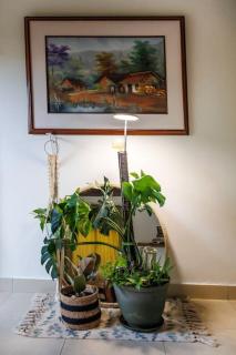 Apartamentos turisticos - Boho Sai - San Andrés - 2