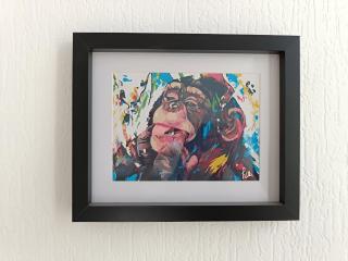 La fosse aux singes - 5 min de la Fosse Dionne - 4