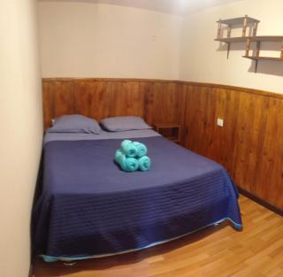 Hostal Temuco - Temuco - 9