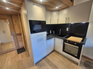 Studio rénové avec mezzanine et wifi, au pied des pistes avec balcon - FR-1-502-582 - 4