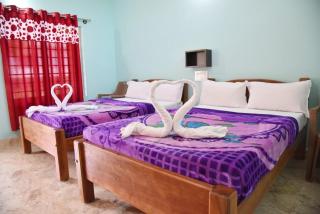 Dream House Homestay - Madikeri - 2