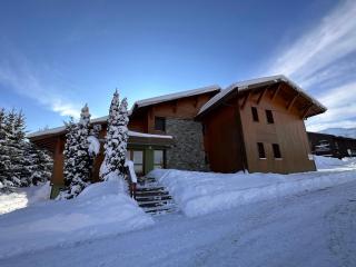 Appartement 3 chambres, 2 sdb, parking, proche pistes, équipements de standing - FR-1-572-46 - Les Carroz d'Araches - 9