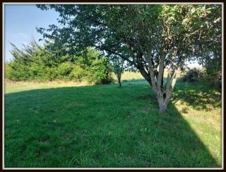 Proche Mont-Saint-Michel - 3