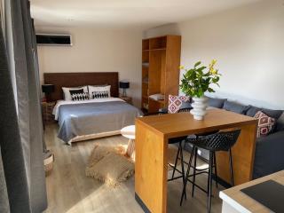 Room in Studio - Cactus Suberb Suite With Private Pool - Achladies - 6