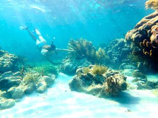 Pronoia Casa de Playa - 8