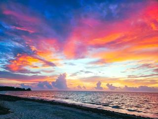 Pronoia Casa de Playa - 7