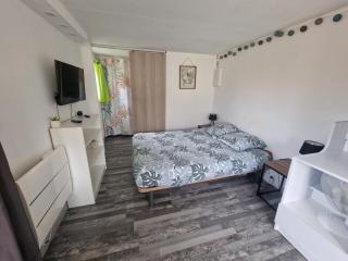 Studio Marmotte, quartier marais, terrasse en rez de jardin, matelas confort - Bourges - 9