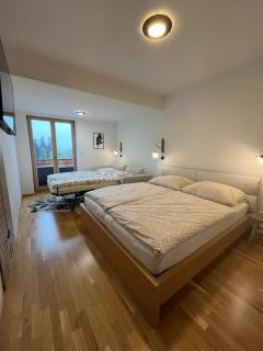 Slunečný apartmán - Černý Důl - 1
