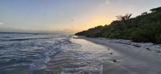 Villa Barbadine - Location Villa Guadeloupe Saint François - 4