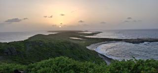 Villa Barbadine - Location Villa Guadeloupe Saint François - 3