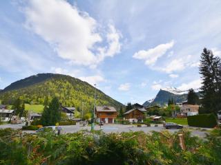 Appartement T3 proche centre-ville, pistes & remontées - 6 pers, balcon, parking - Morzine - FR-1-684-29 - 9