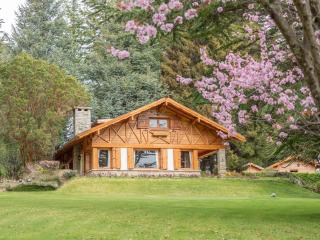 Araucaria - Bariloche - 0