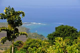 Ka'awa Loa Plantation - 4