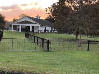 Cozy one bedroom barn apartment - Ocala - 0