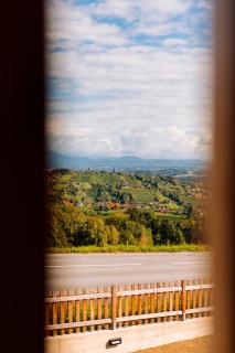 SCHILCHERLANDLEBEN - Hochgrail - 2