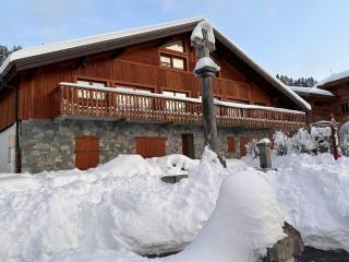 Ferme rénovée 12 pers, 450m des pistes, navette gratuite, balcon S-O, parking, WIFI - FR-1-572-23 - Arâches-la-Frasse - 6