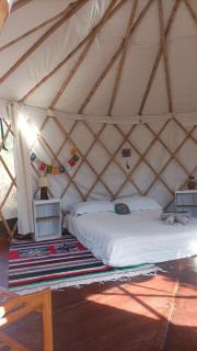 Guardianas del Bosque - 3