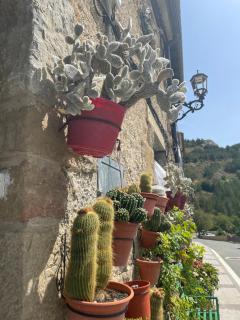 Hostal Don Santiago Ramon y Cajal - - 1