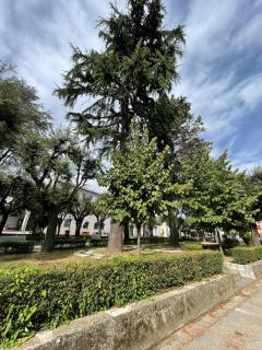 B & B Ai Giardinetti - SantʼArsenio - 1
