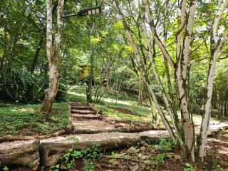 Villas Gecko - 3
