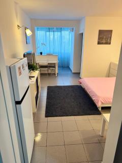 Park Lake Apartment - Bucharest - 1