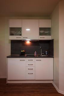 GottwaldHaus-Freiberg-Apartment E - Freiberg - 6