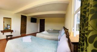 Hotel Renacer - San Miguel Regla - 7