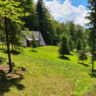 Vrleti Tare - Bajina Bašta - 3
