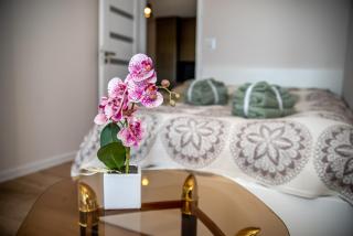 Apartament Poleska - Częstochowa - 2