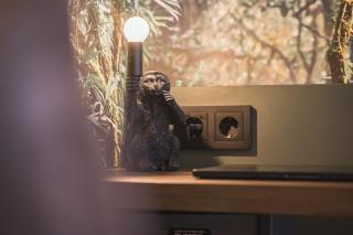 JUNGLE No5 Boutique Hotel - Stuttgart City-Center - 1